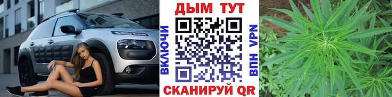 Купить закладки  Сольвычегодск  Каннабис LSD WEED 